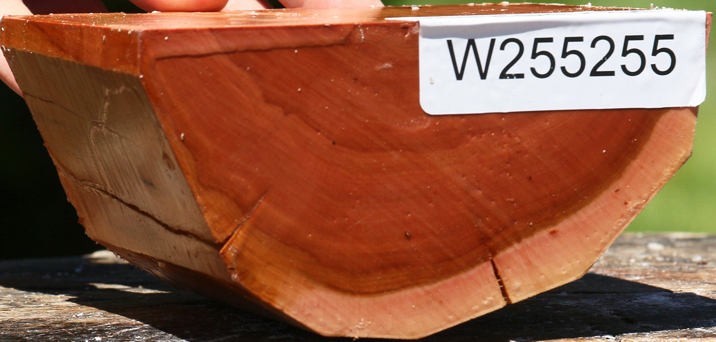 Oregon Ironwood Half Log