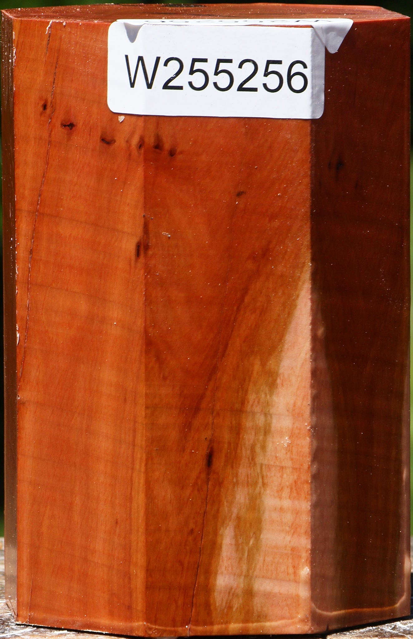 Oregon Ironwood Turning Square
