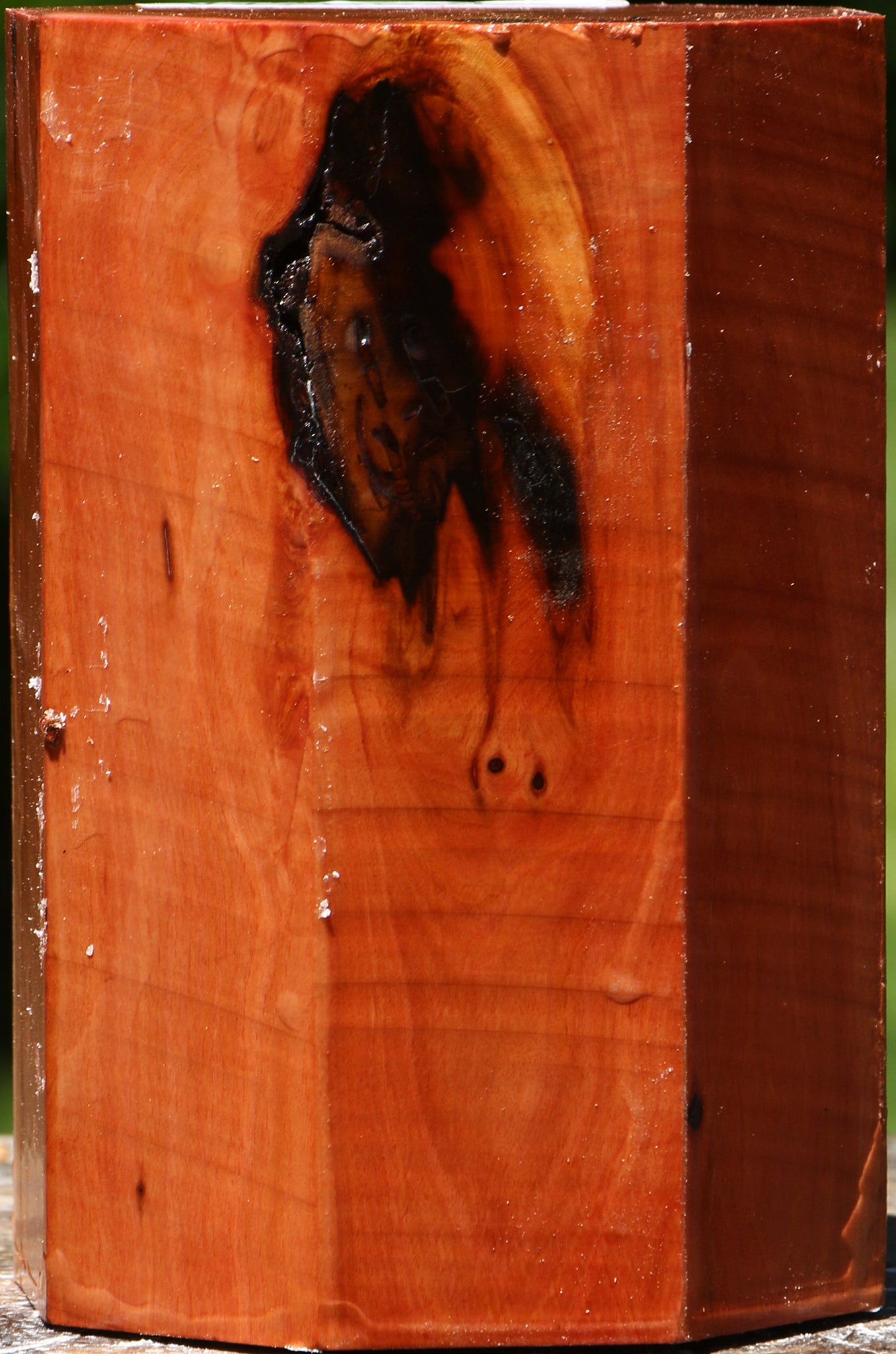 Oregon Ironwood Turning Square