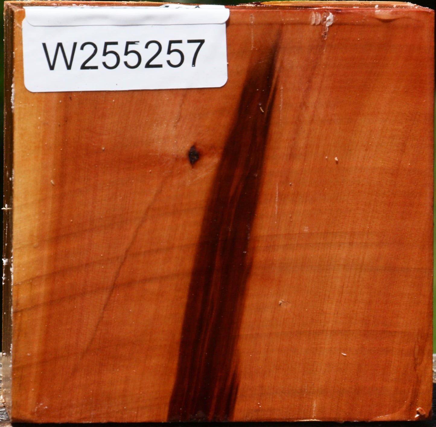 Rustic Oregon Ironwood Live Edge Bowl Blank