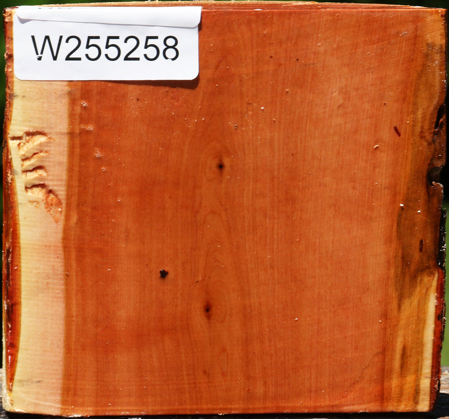 Oregon Ironwood Half Log