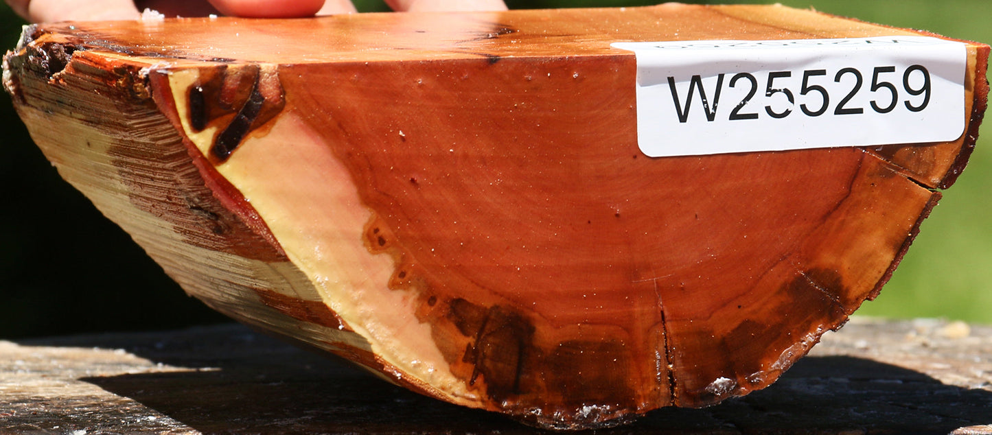 Rustic Oregon Ironwood Half Log
