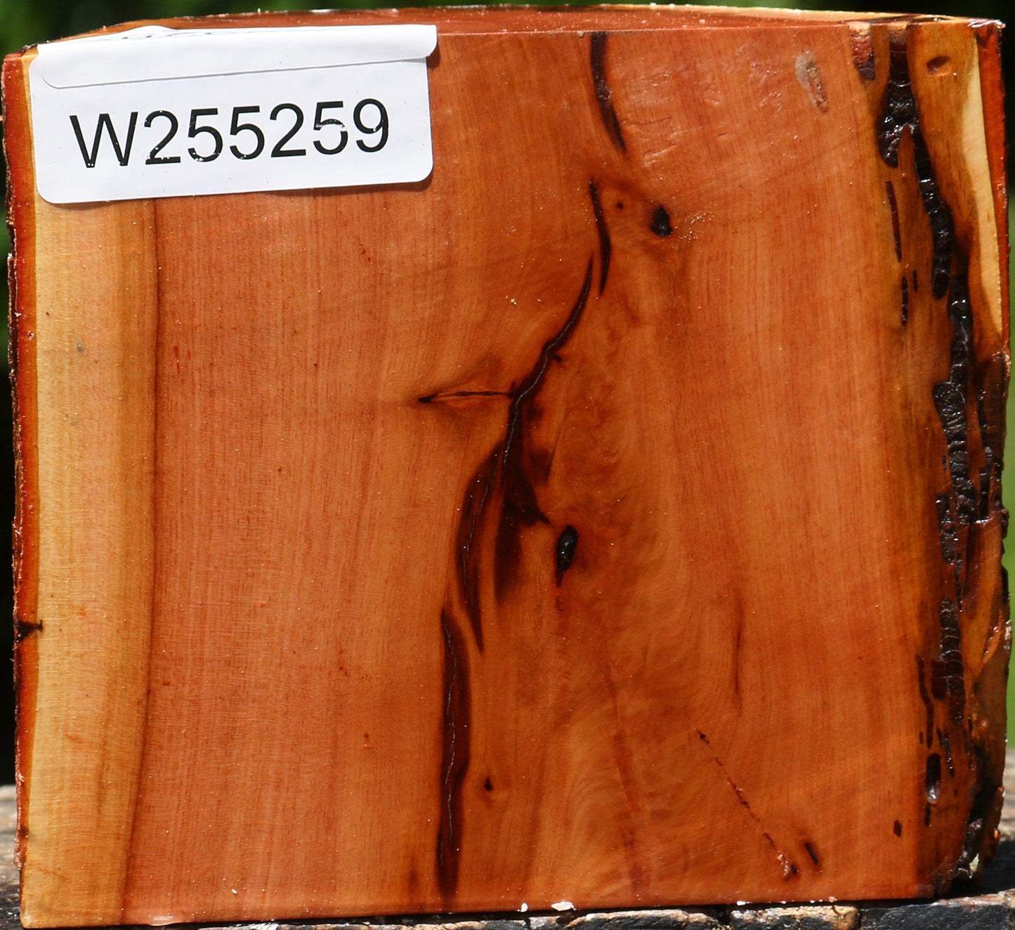 Rustic Oregon Ironwood Half Log
