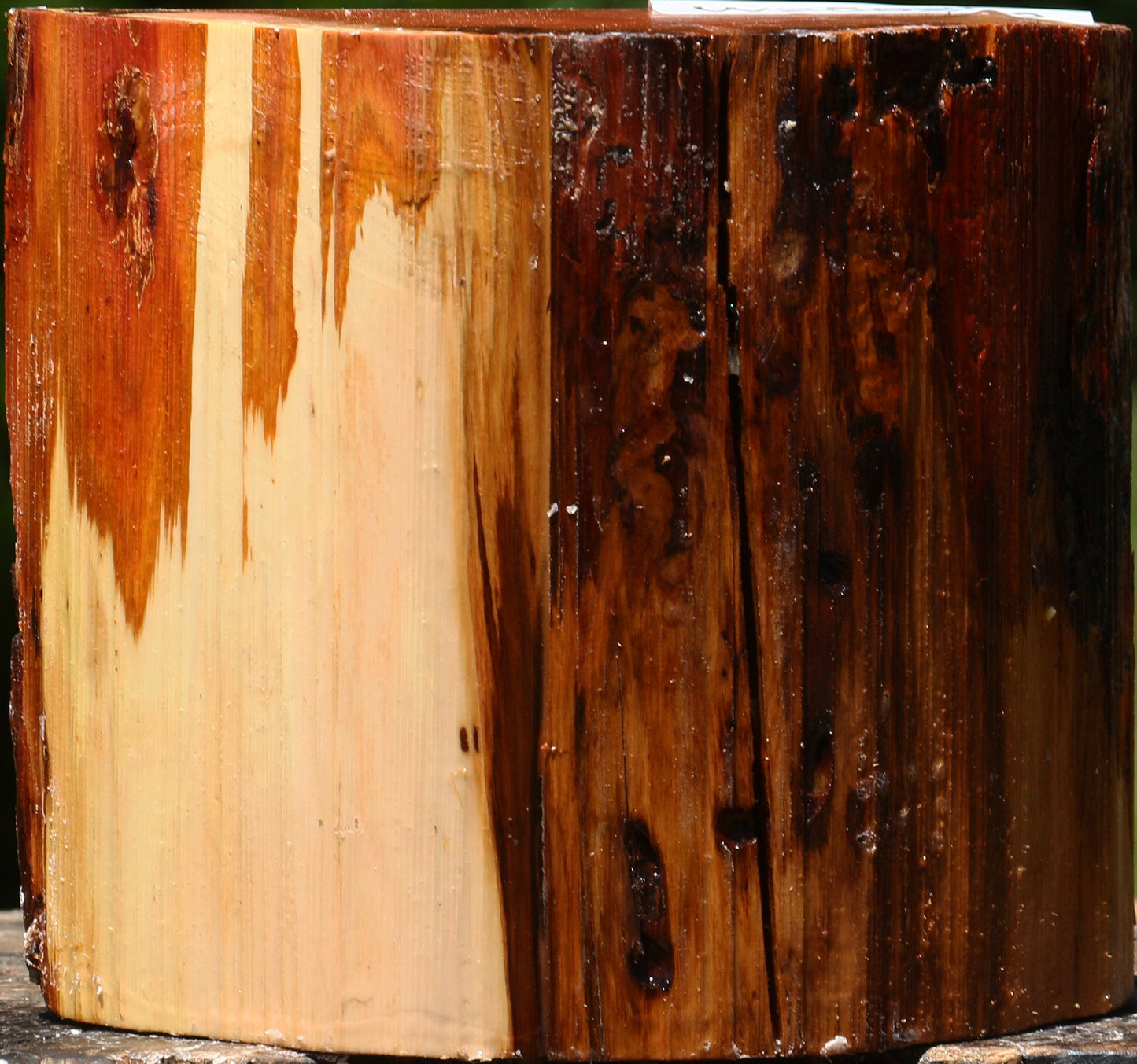 Rustic Oregon Ironwood Half Log