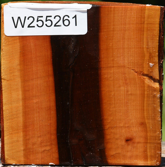 Oregon Ironwood Half Log
