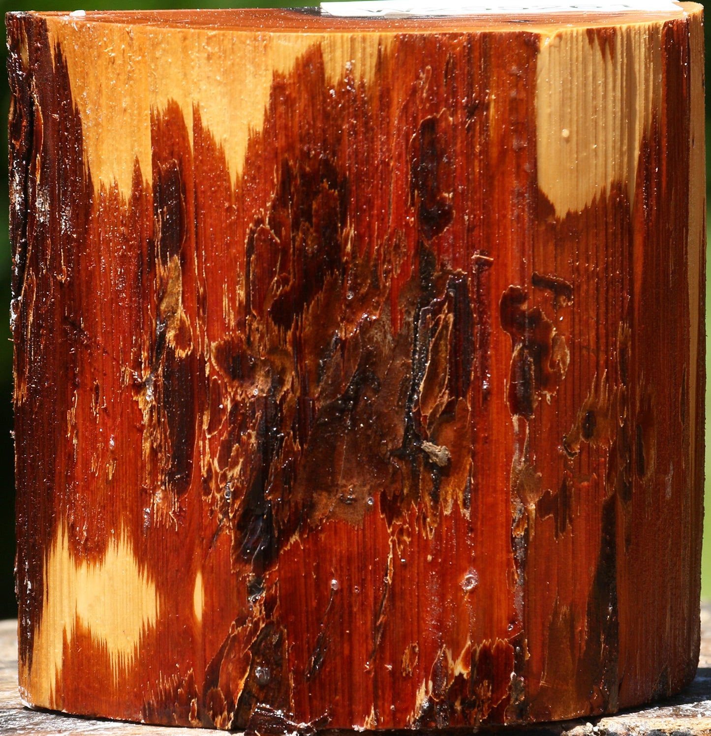 Oregon Ironwood Half Log