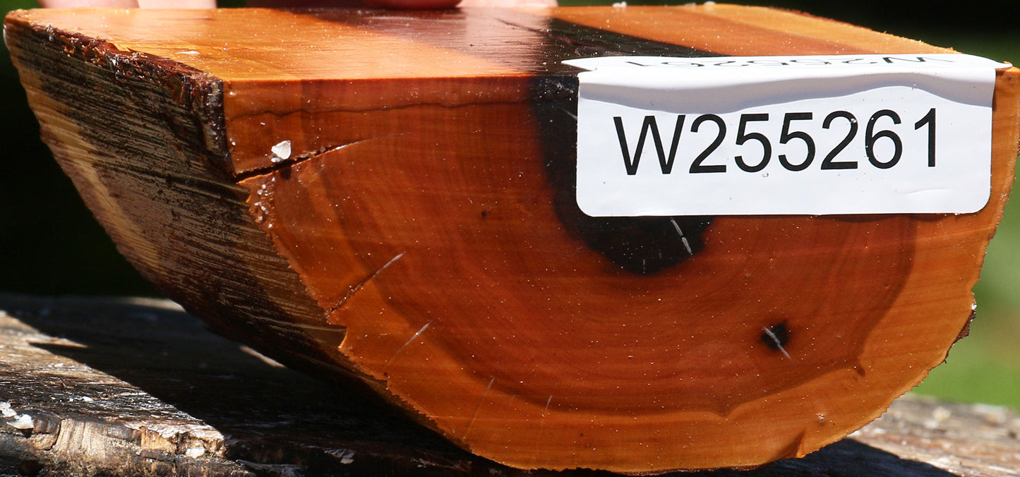 Oregon Ironwood Half Log