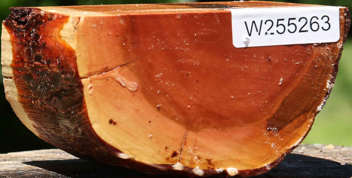 Oregon Ironwood Half Log