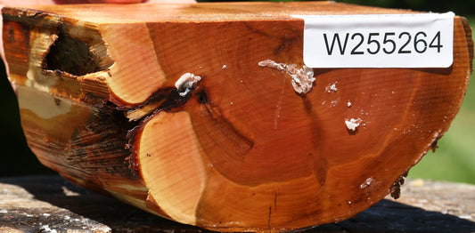 Oregon Ironwood Half Log