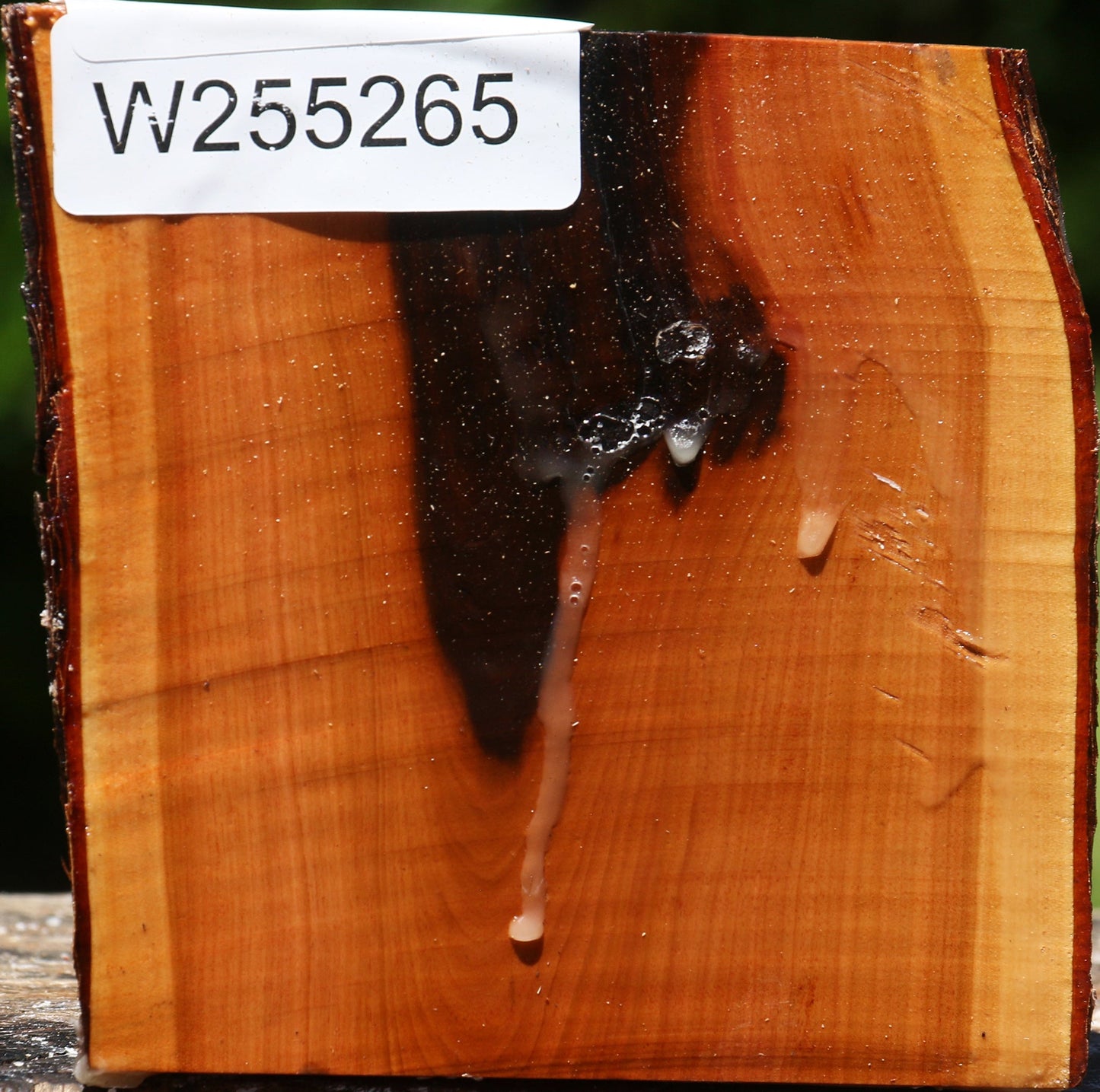 Rustic Oregon Ironwood Half Log