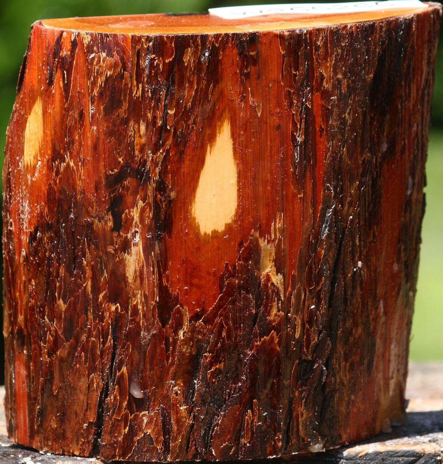 Rustic Oregon Ironwood Half Log