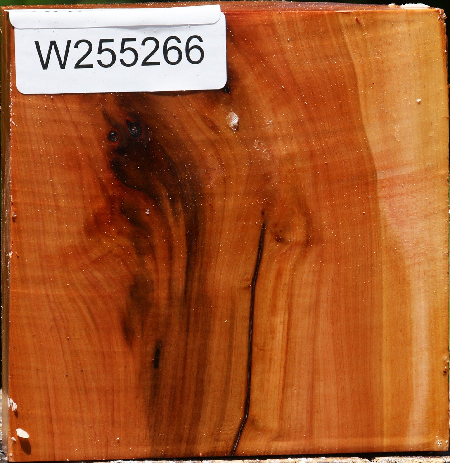 Oregon Ironwood Half Log