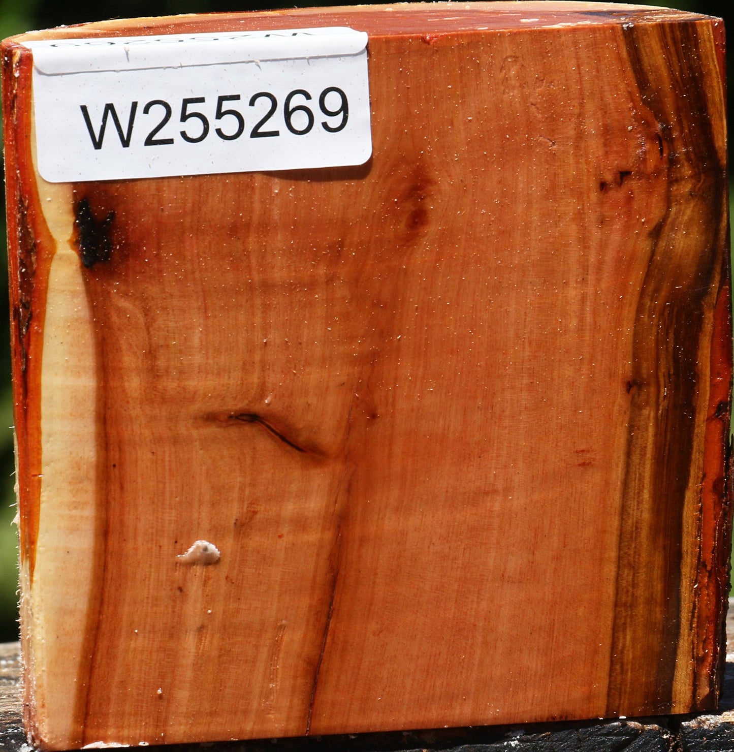 Oregon Ironwood Half Log