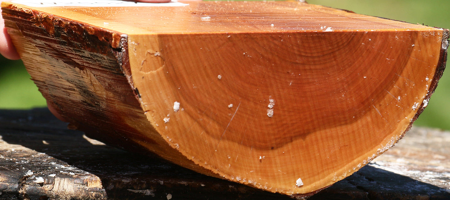 Oregon Ironwood Half Log