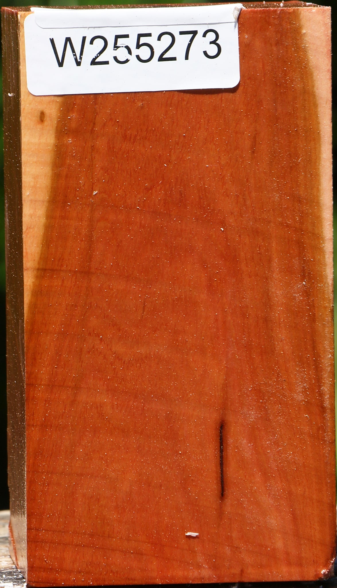Oregon Ironwood Turning Square