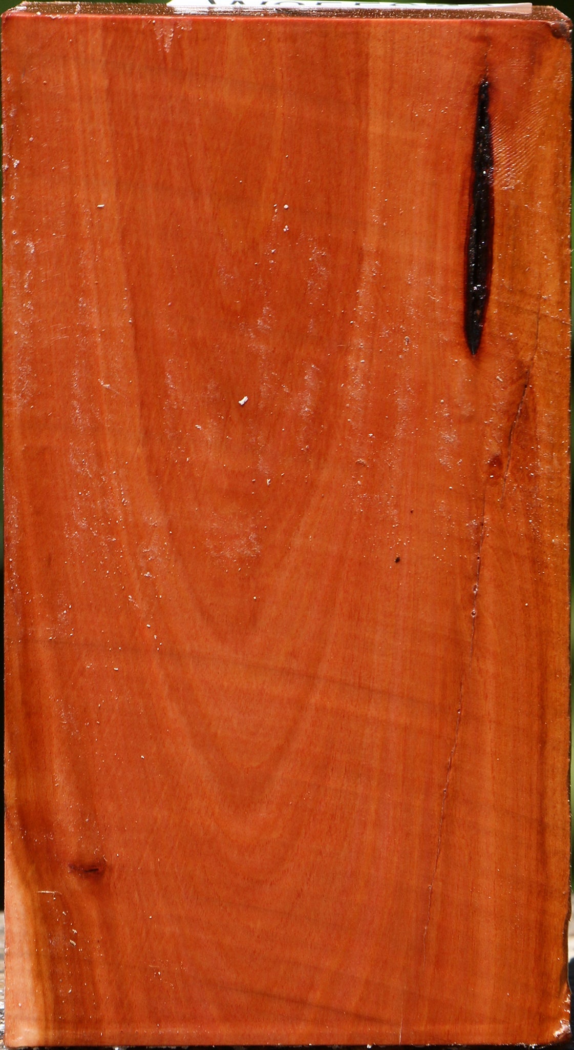 Oregon Ironwood Turning Square