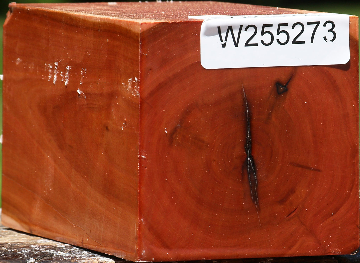 Oregon Ironwood Turning Square