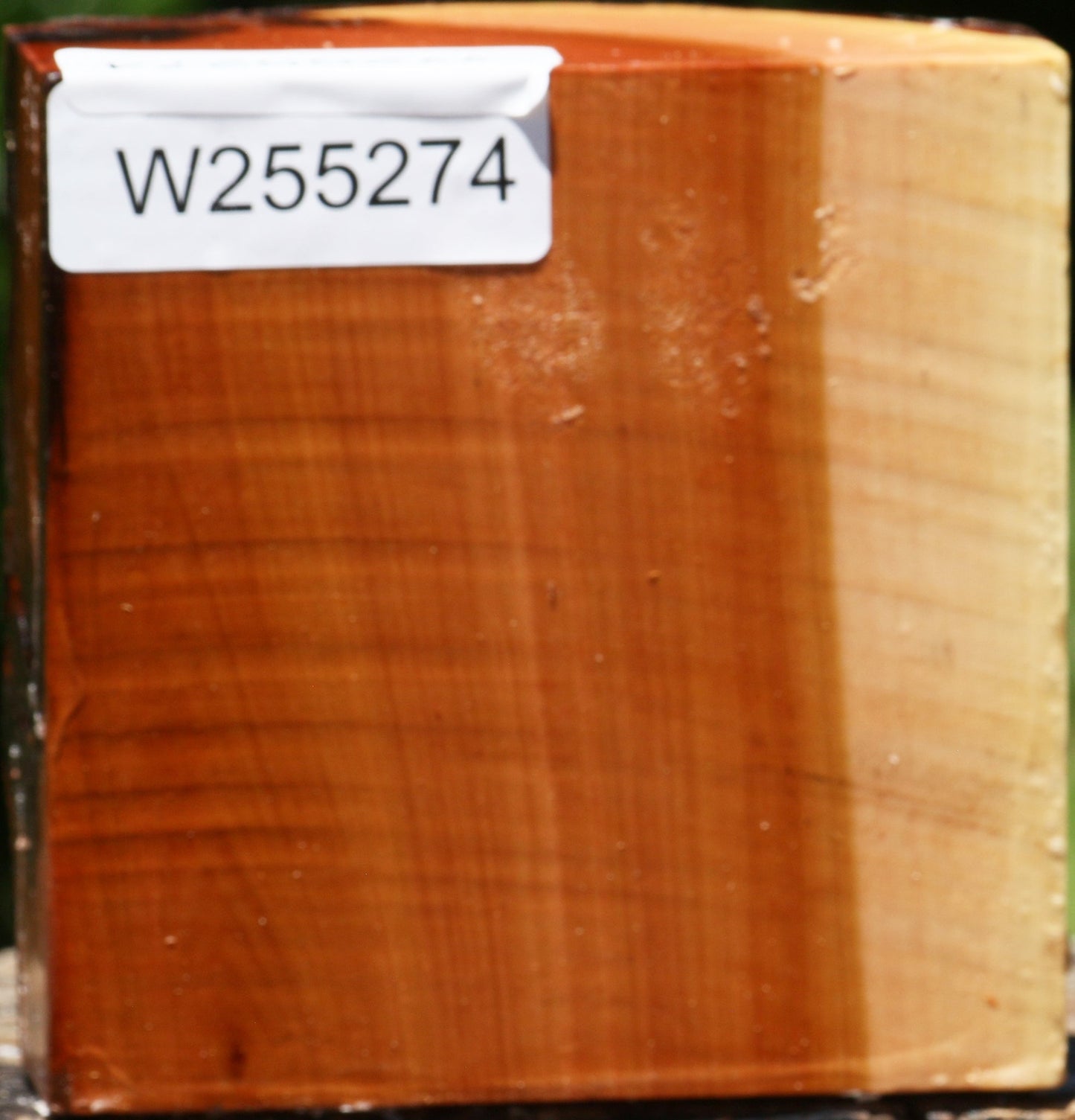 Oregon Ironwood Live Edge Bowl Blank