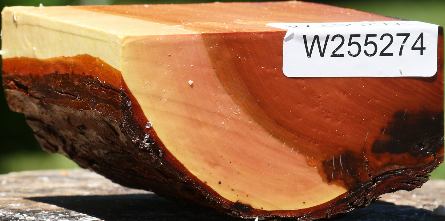 Oregon Ironwood Live Edge Bowl Blank