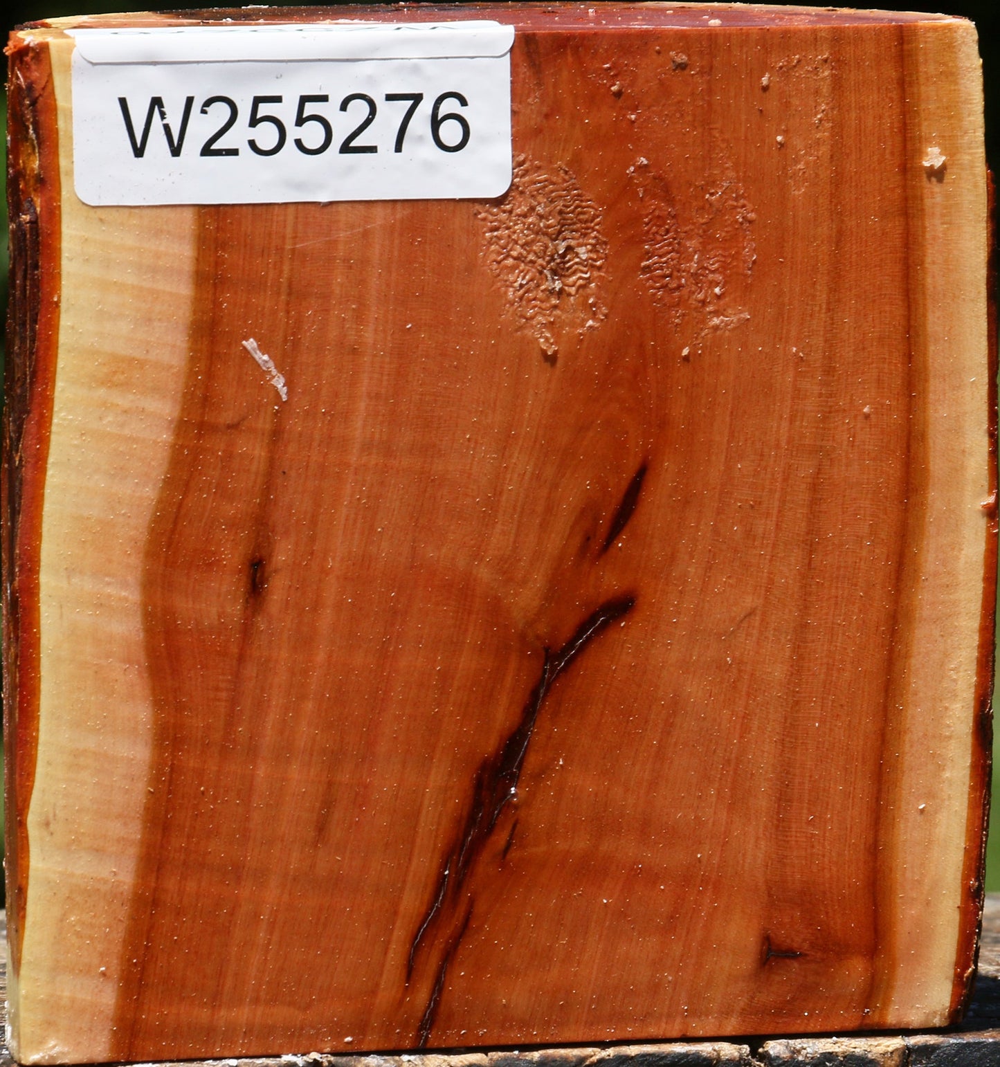 Rustic Oregon Ironwood Half Log