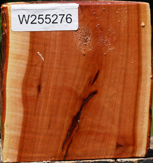 Rustic Oregon Ironwood Half Log