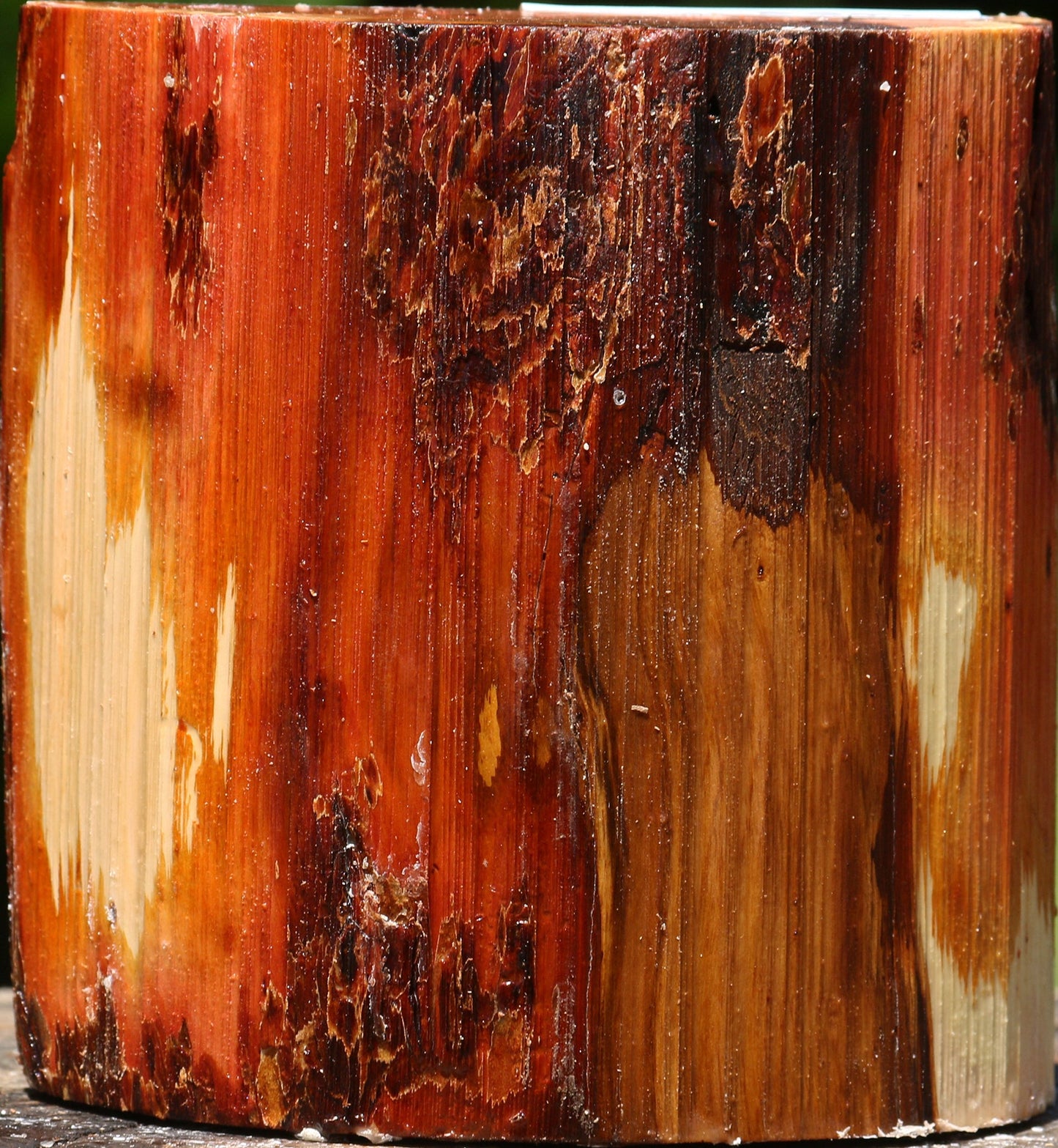 Rustic Oregon Ironwood Half Log