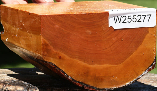 Oregon Ironwood Live Edge Bowl Blank