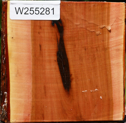 Oregon Ironwood Half Log