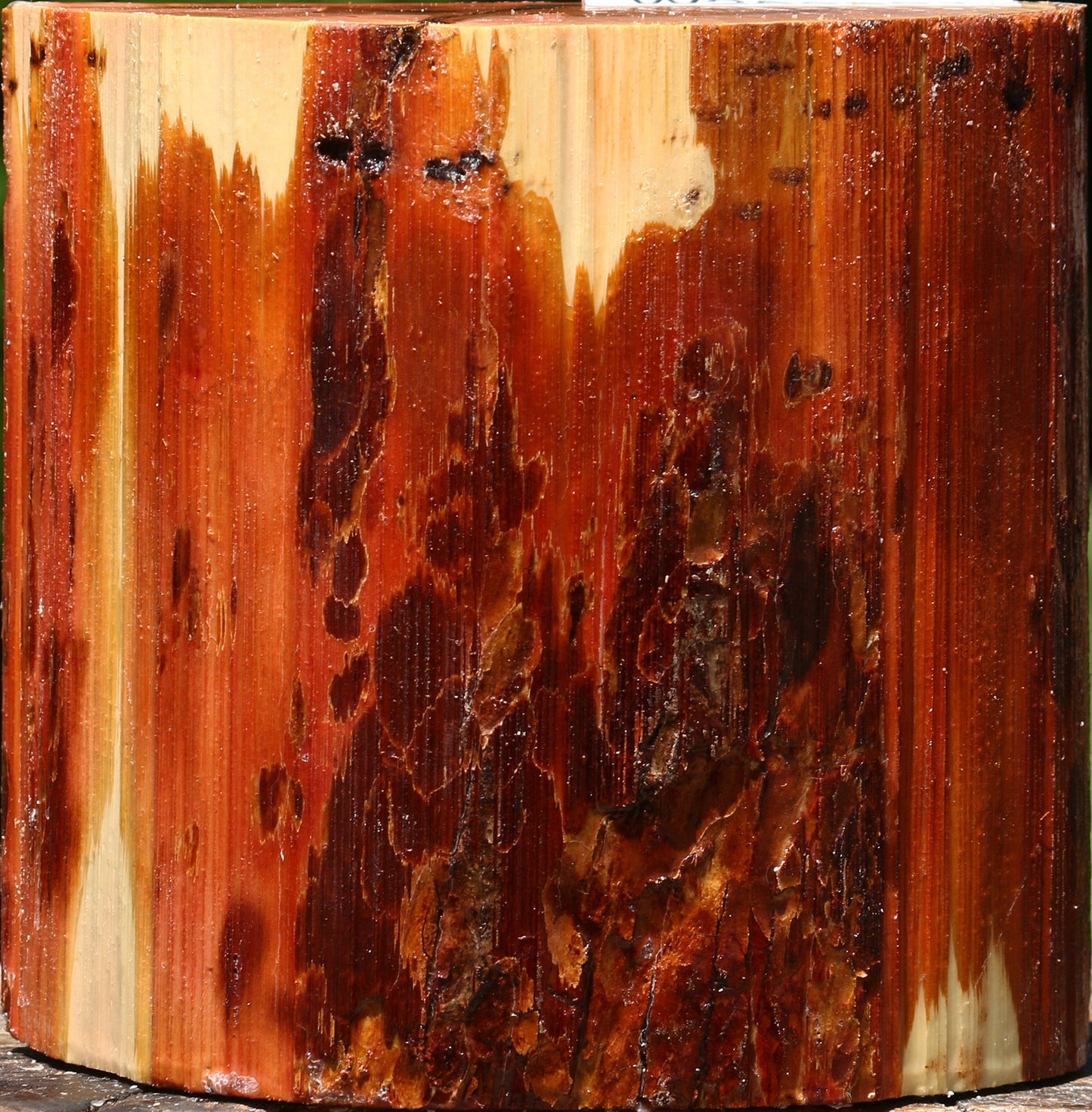 Oregon Ironwood Half Log