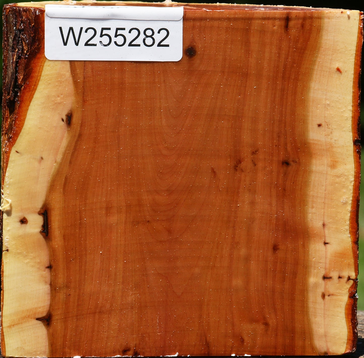 Rustic Oregon Ironwood Half Log