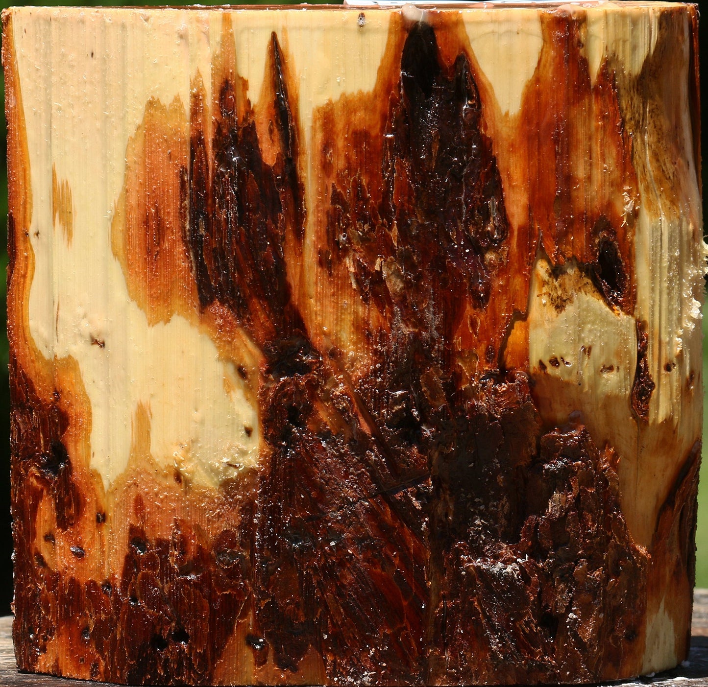 Rustic Oregon Ironwood Half Log