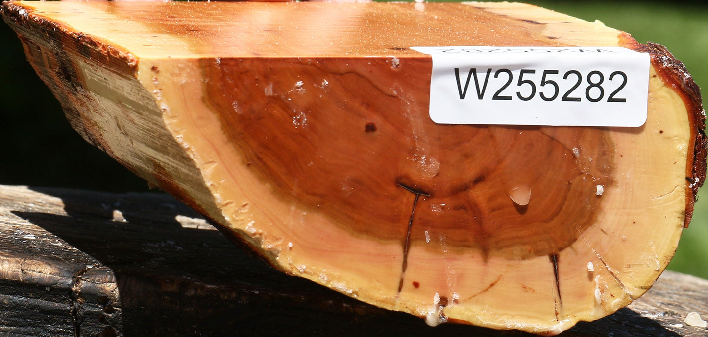 Rustic Oregon Ironwood Half Log