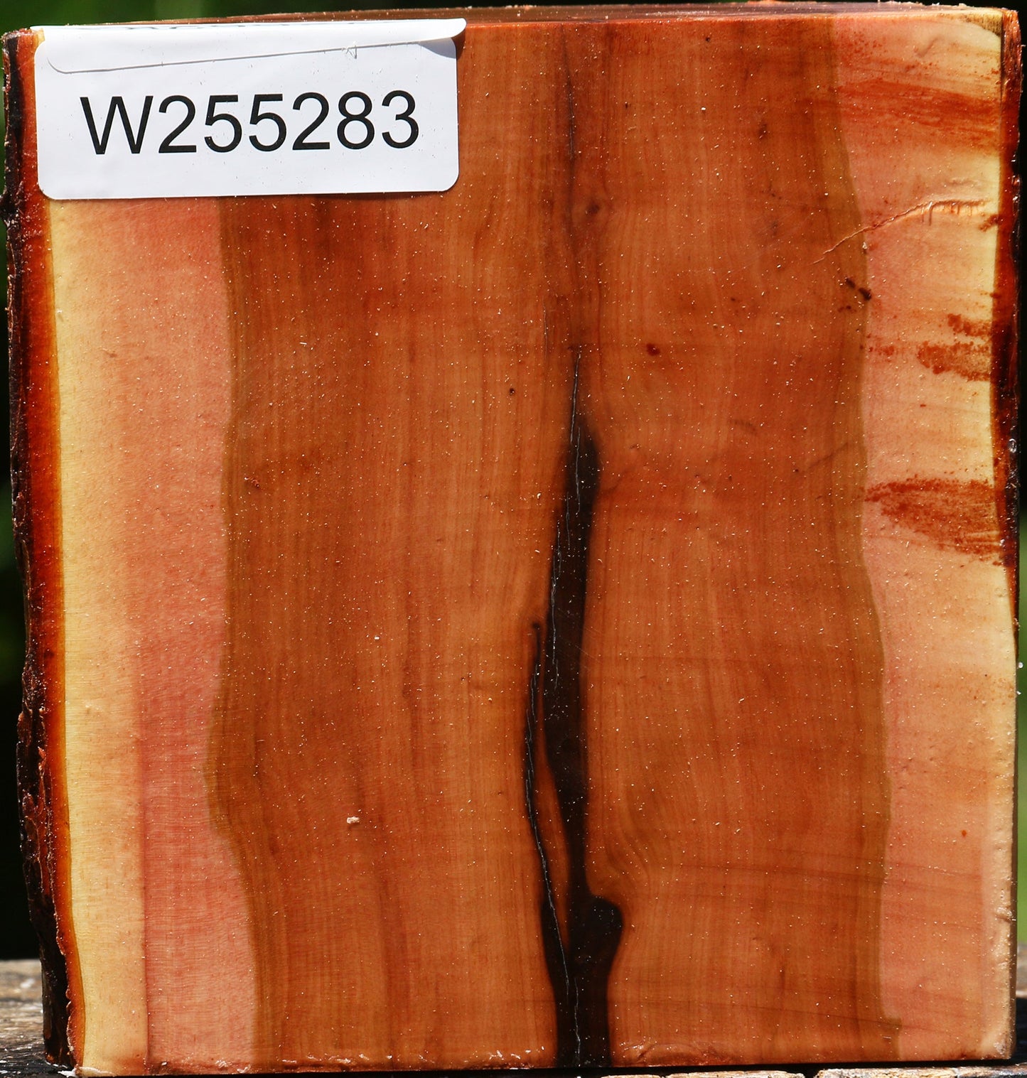 Oregon Ironwood Half Log