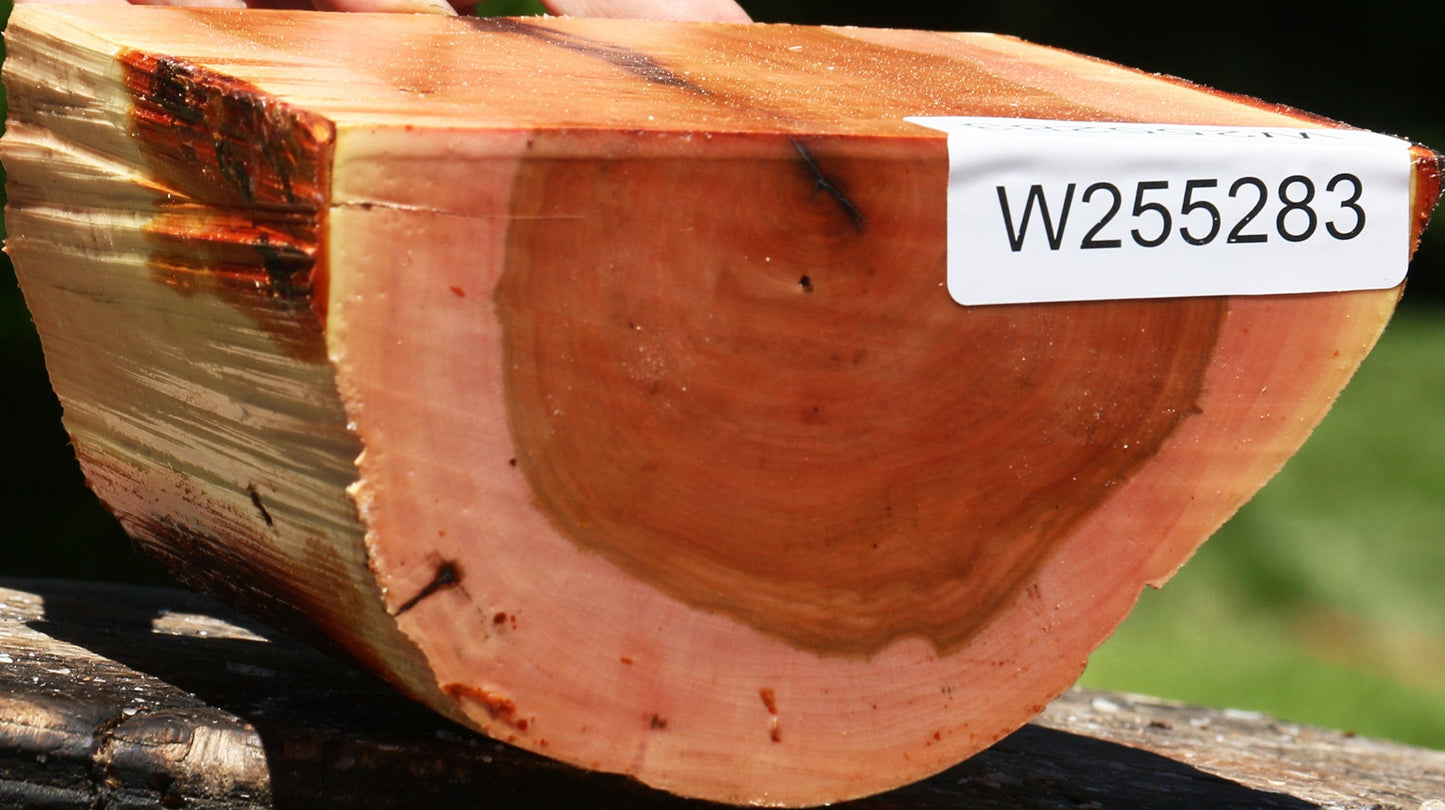 Oregon Ironwood Half Log