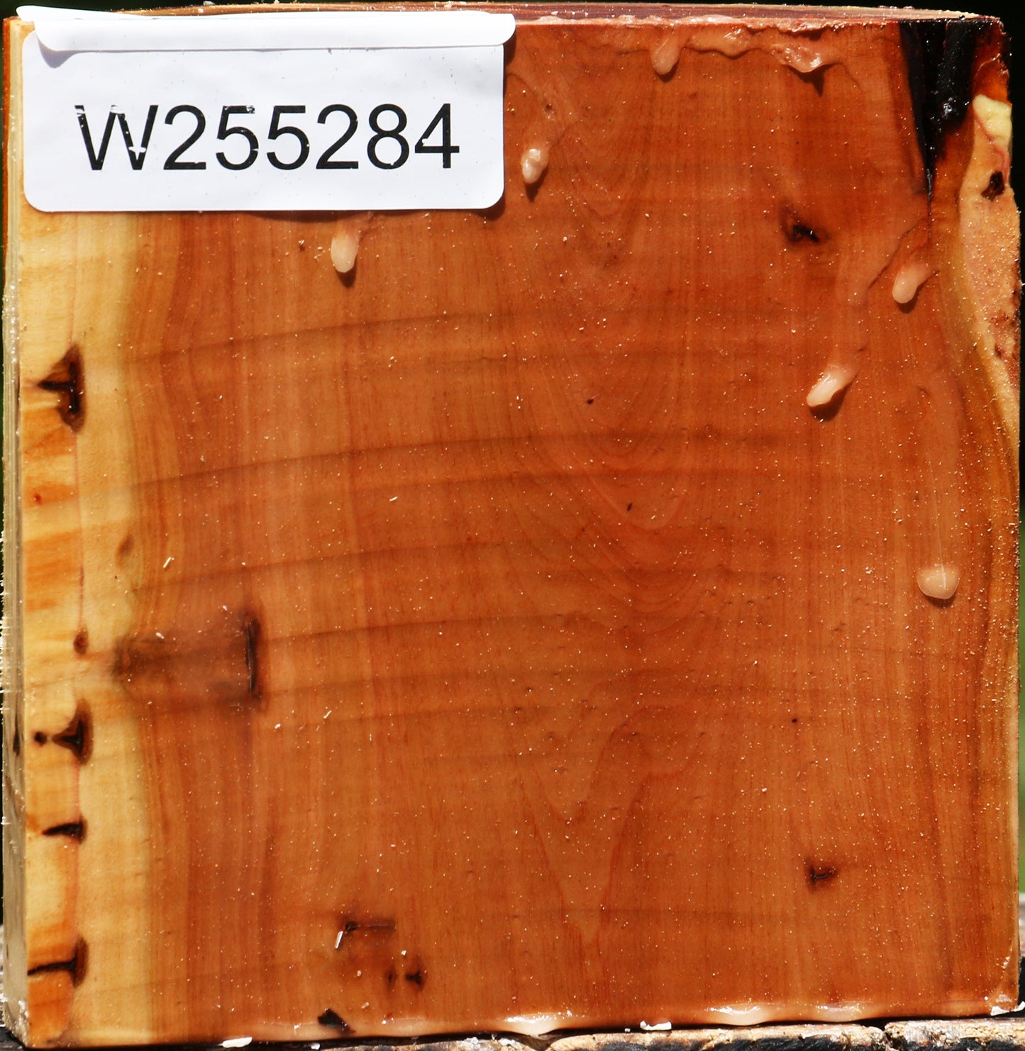 Oregon Ironwood Half Log