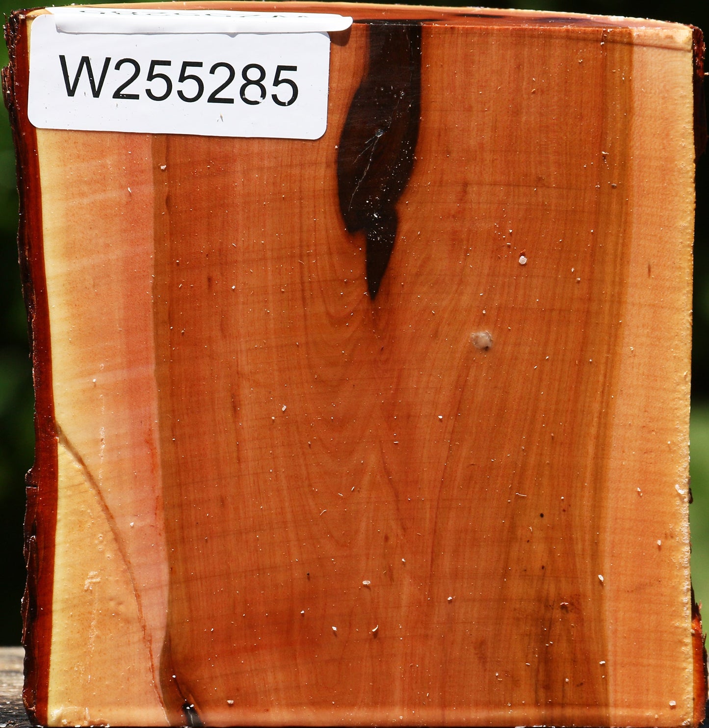 Oregon Ironwood Half Log