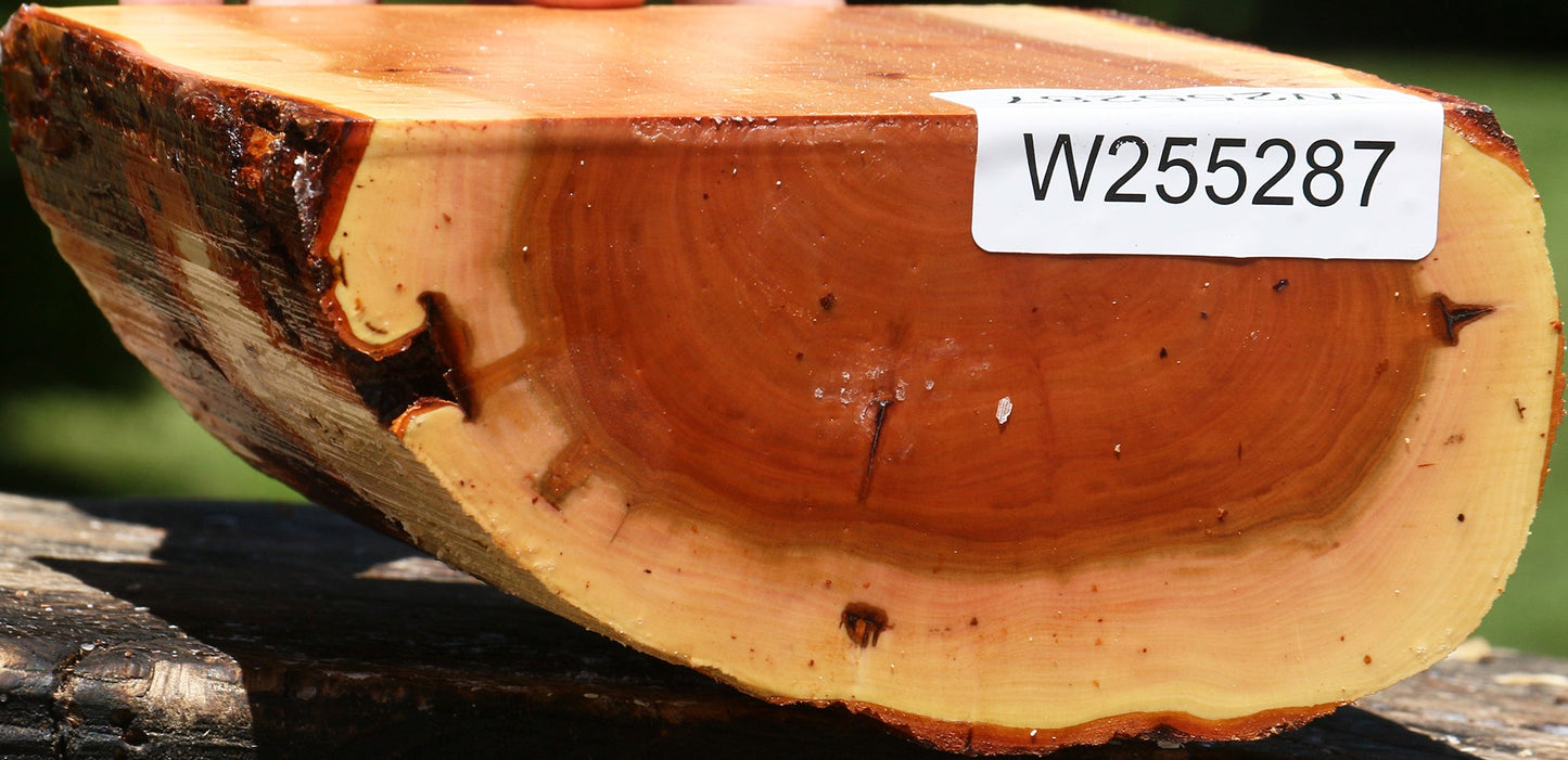 Oregon Ironwood Half Log