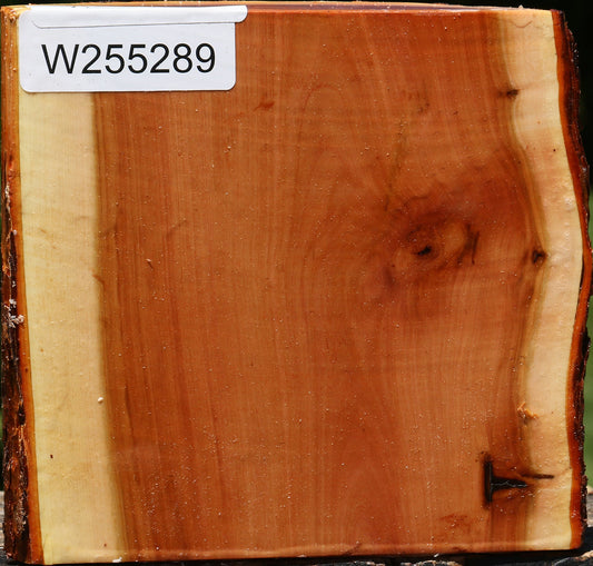 Oregon Ironwood Half Log