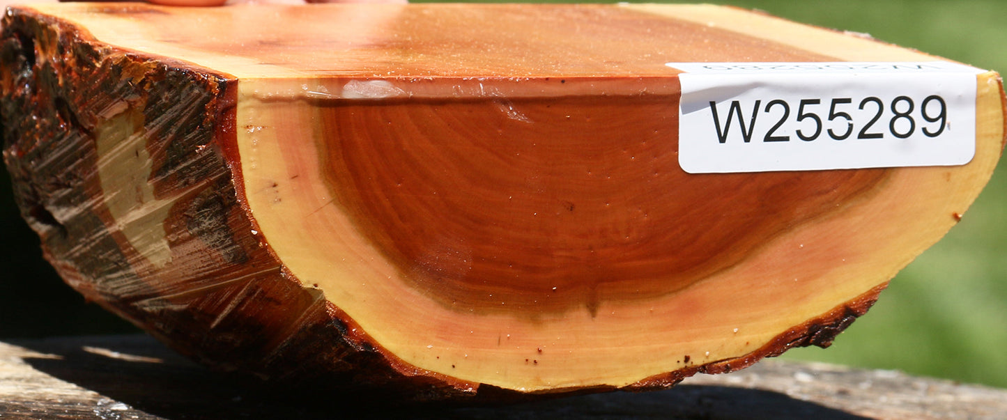 Oregon Ironwood Half Log