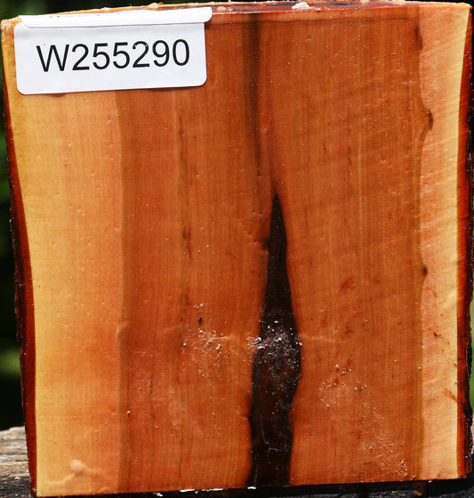 Rustic Oregon Ironwood Half Log