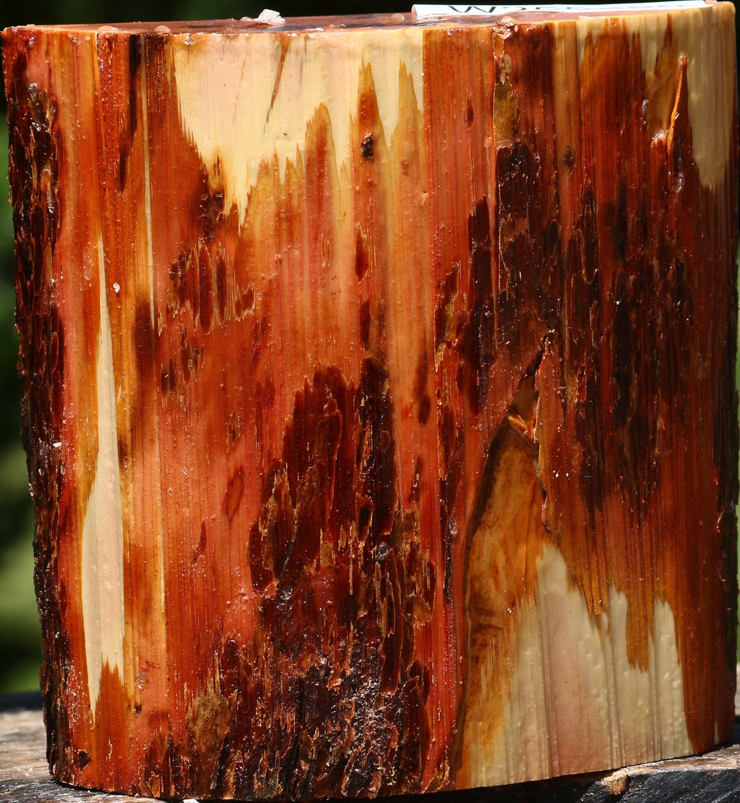 Rustic Oregon Ironwood Half Log