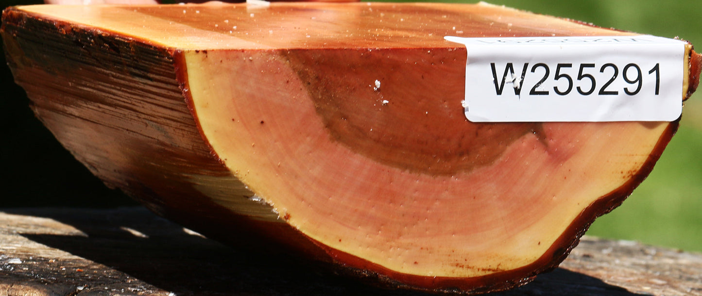 Oregon Ironwood Half Log