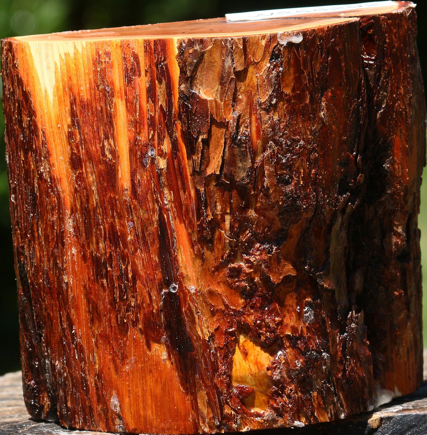 Oregon Ironwood Half Log