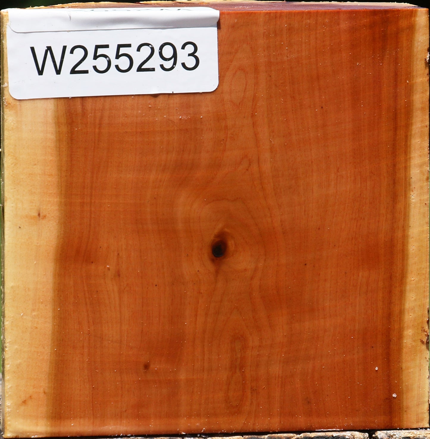 Oregon Ironwood Half Log