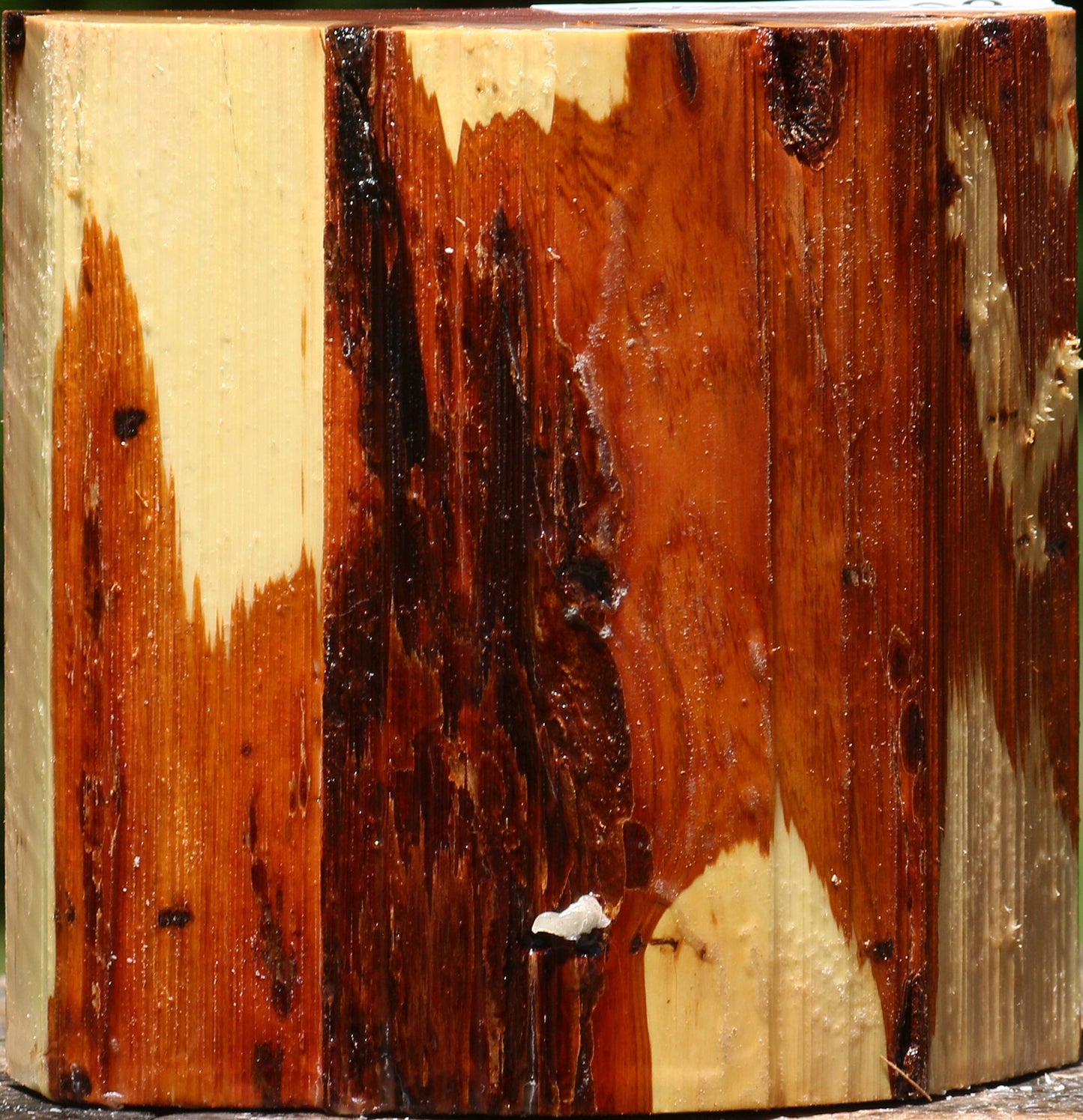 Oregon Ironwood Half Log