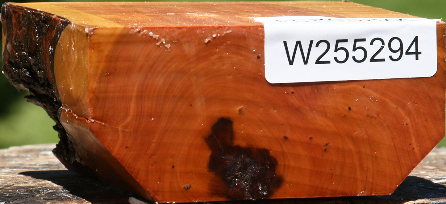 Oregon Ironwood Bowl Blank