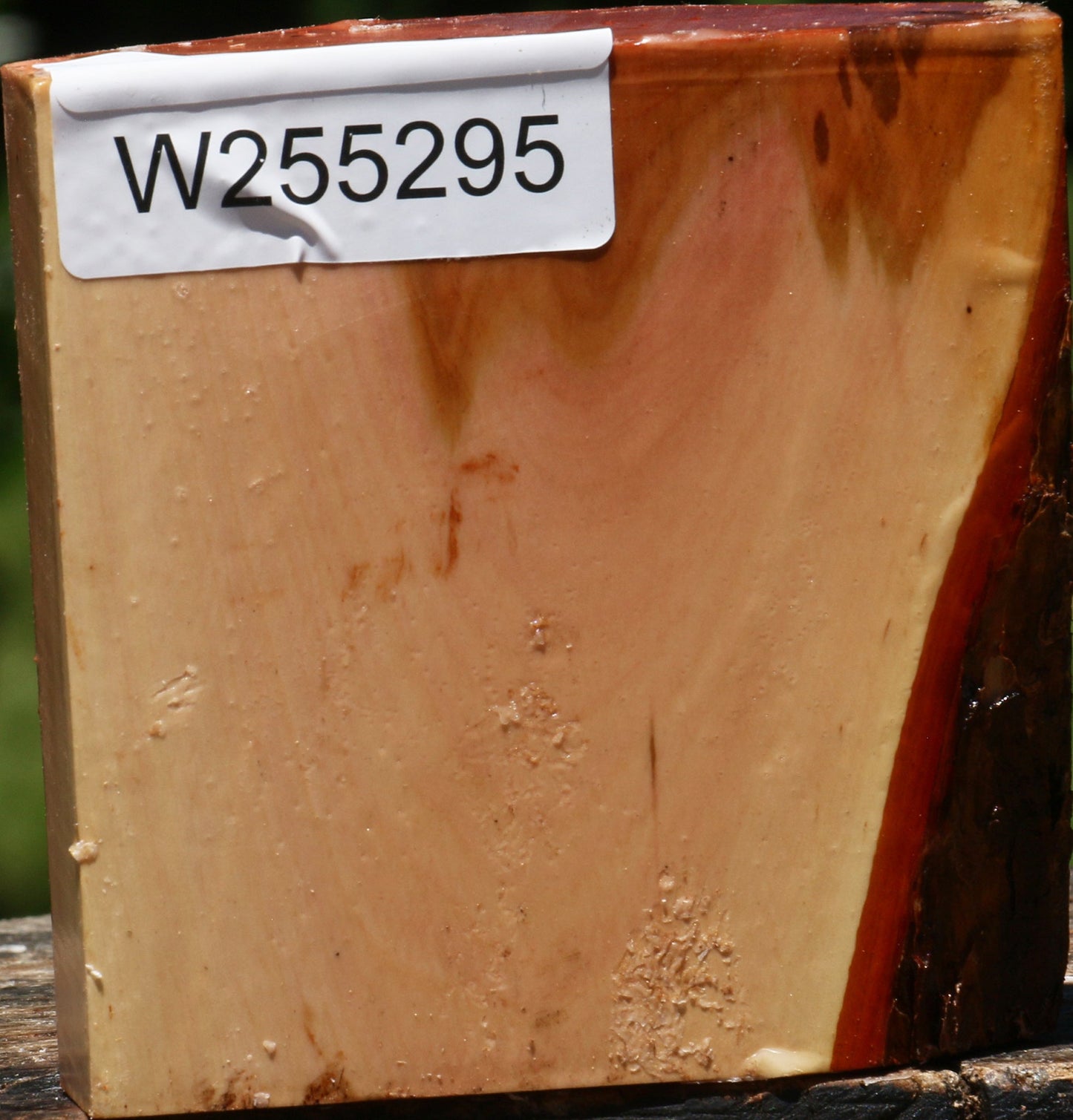 Oregon Ironwood Bowl Blank