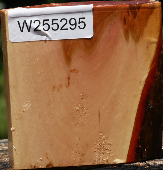 Oregon Ironwood Bowl Blank