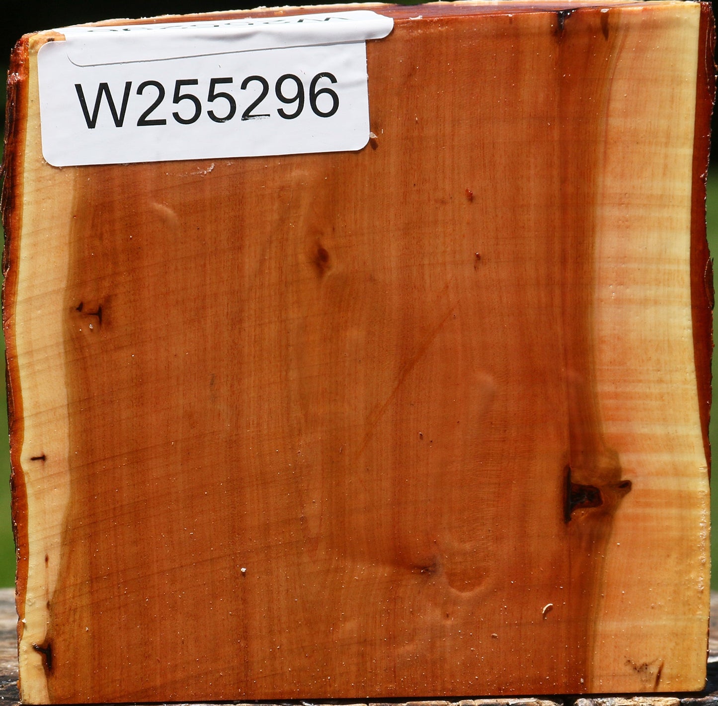 Oregon Ironwood Half Log