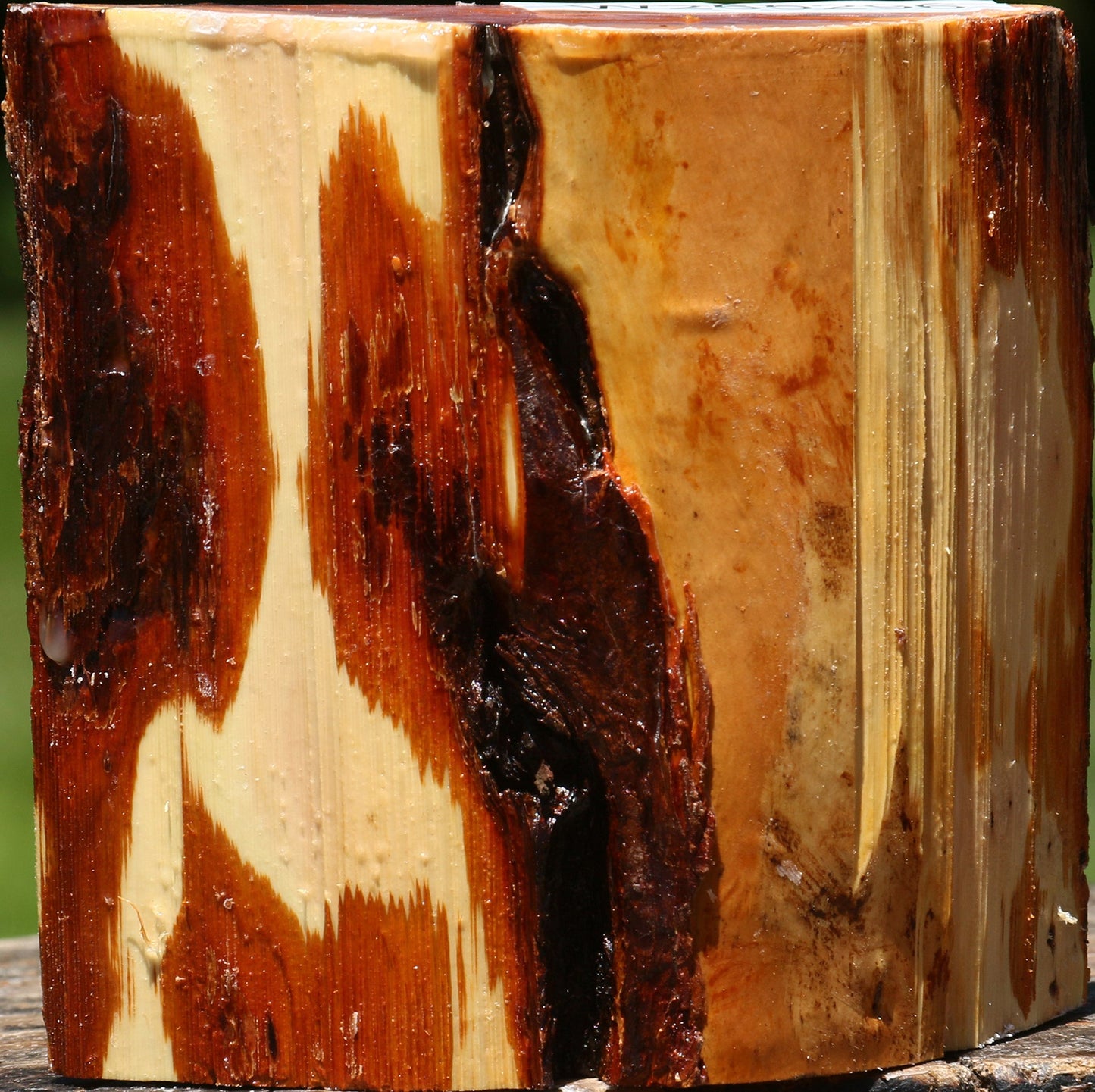 Oregon Ironwood Half Log
